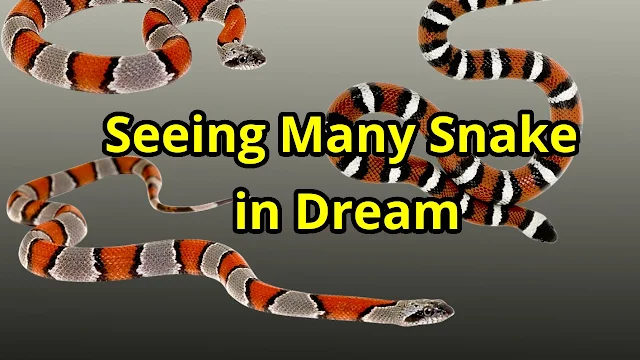 Seeing a large number of snakes in dream