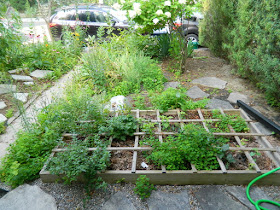 The Pocket Toronto front garden cleanup before by Paul Jung Gardening Services