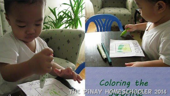 color the square