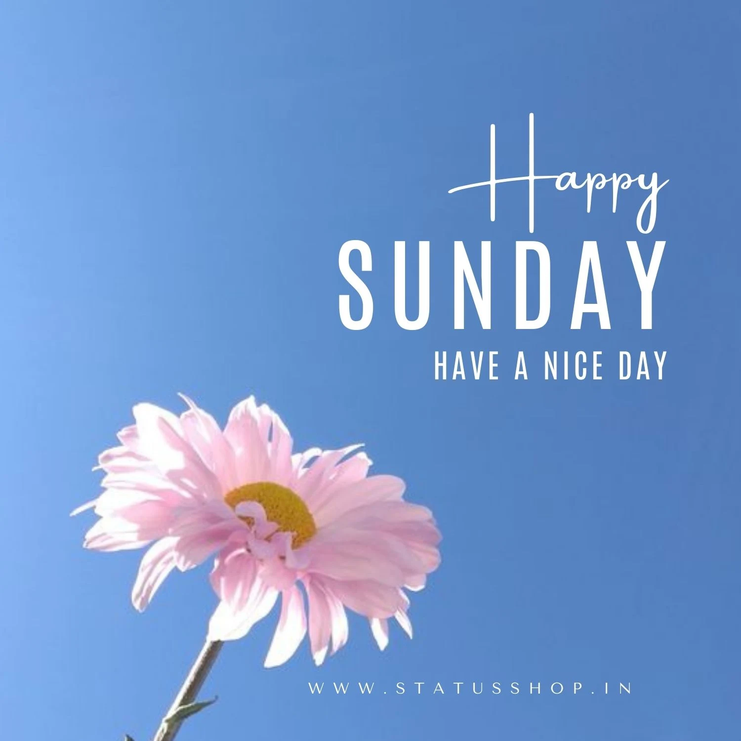 Best-Happy-Sunday-Images