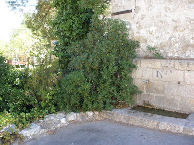 fuente Torrecilla de Valmadrid