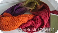 IMG_1451[1]
