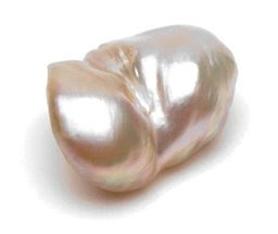 natural oyster pearl