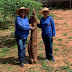 Agentes de Saúde Descobrem Mandioca Gigante Durante Vistoria