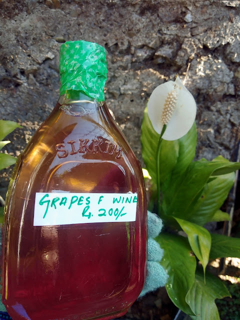 organic fruit wine