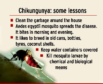 chikungunya