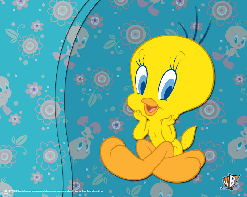 baby tweety wallpaper title=