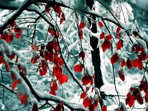 Sfondo-invernale-desktop-26