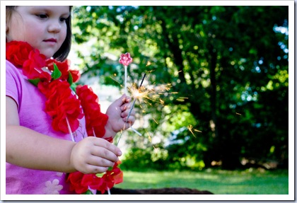 SONY DSC