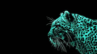 Desktop Wallpaper: cheetah, digital art, dark background