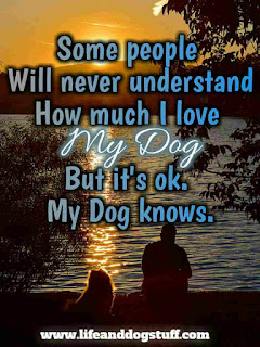 love my dog quotes sayings