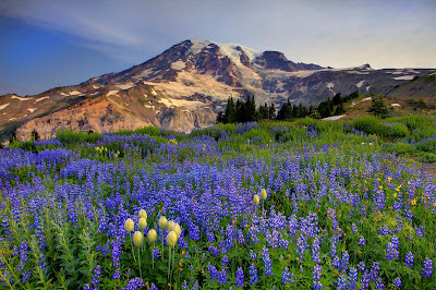 Mount Rainier Wallpaper 3