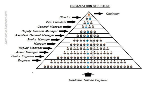 Organization Structure & company's increment policy