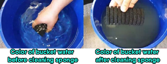 How to clean sponge filter without losing beneficial bacteria?