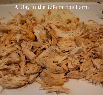 shredded chicken