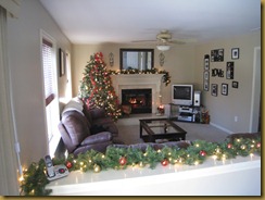 Christmas 021