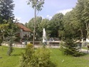 06062009432