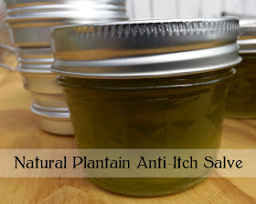 Natural Plantain Salve Recipe