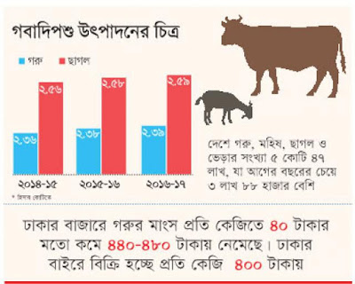 দেশে গরু-ছাগলের সংখ্যা বাড়ছে