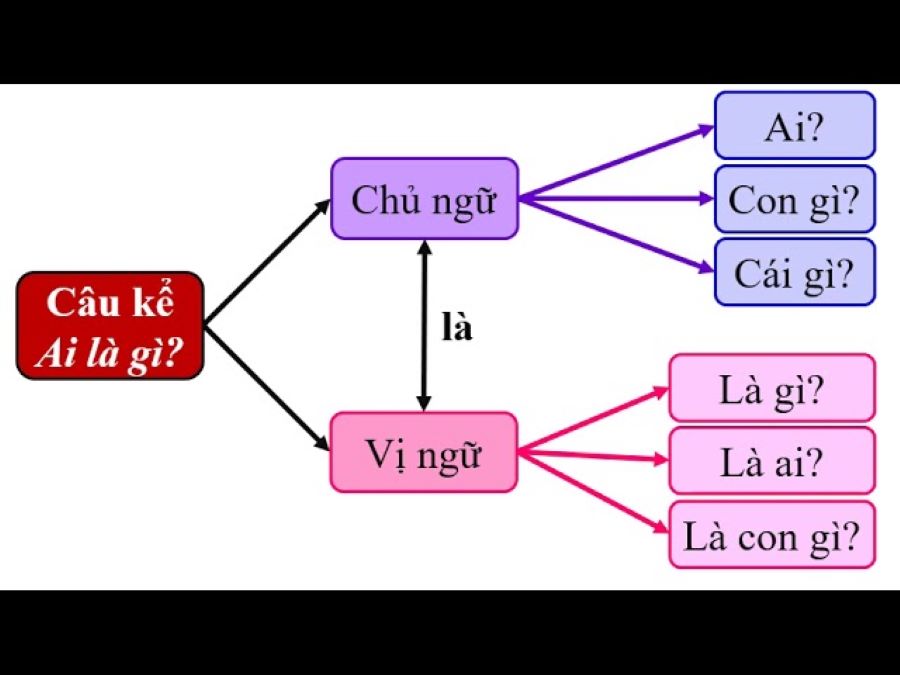 xac-dinh-chu-ngu-vi-ngu-trong-cau