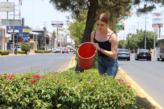 INVITA MUNICIPIO A PARTICIPAR COMO CIUDADANOS AMBIENTALMENTE RESPONSABLES Y ADOPTAR UN ÁRBOL