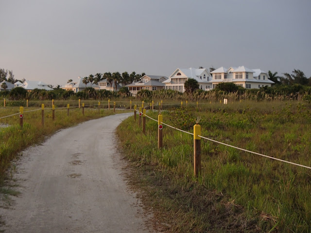 houses at dusk