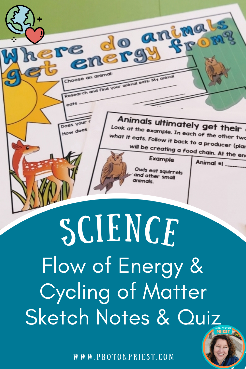 Flow of energy and cycling of matter sketch notes, slideshow, and quiz for 5th grade science