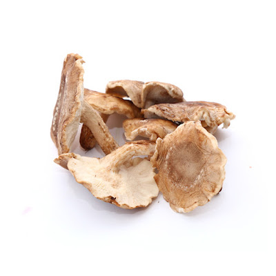 Shiitake Mushroom Supplier In Pune