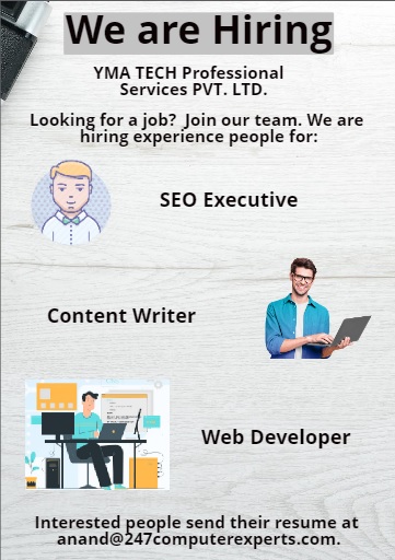 SEO executive, content writer, and Web Developer job