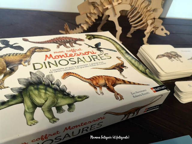 coffret montessori dinosaures nathan