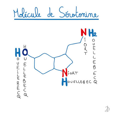 houellebecq, livre, michel houellebecq, molécule, niort, sérotonine, sortie du dernier roman, rentrée littéraire, chimie, tableau des molécules, ville de niort