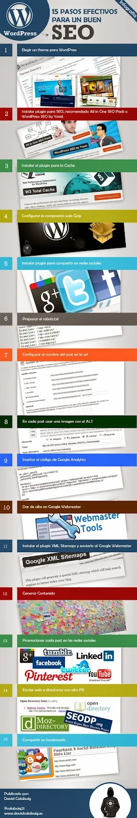 Infografía 15 pasos Efectivos para un buen SEO en WordPress.