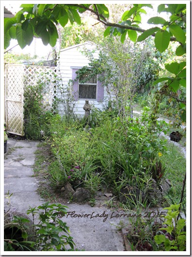 06-19-st-francis