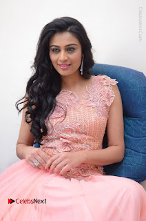 Actress Neha Hinge Stills in Pink Long Dress at Srivalli Teaser Launch  0118.JPG