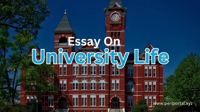 Essay on University Life