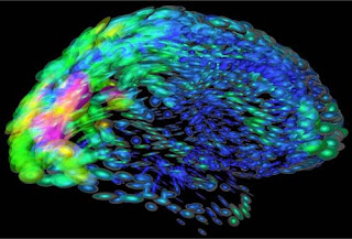 Mapping the Brain - NIH