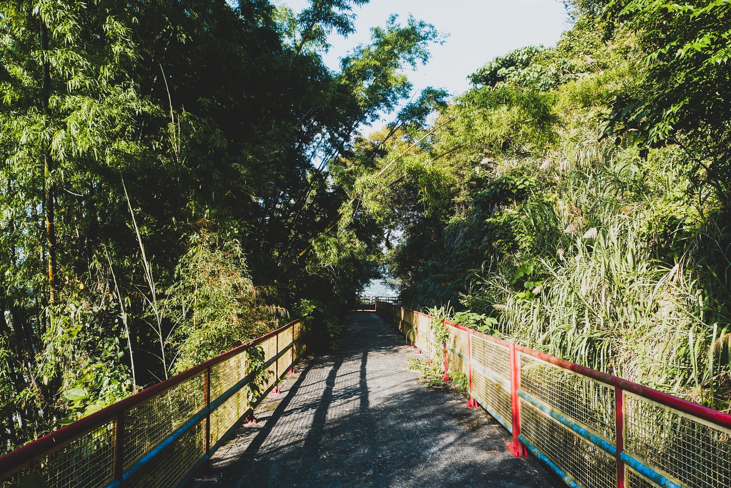 石岡電火圳生態步道