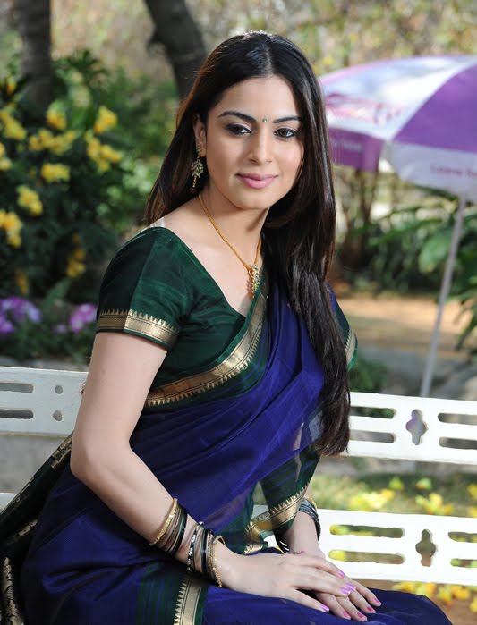 shraddha arya in saree unseen pics