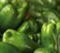 Green Bell Peppers