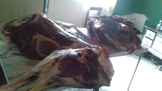 Brigada Militar recupera grande quantia de carne furtada do interior do Município 