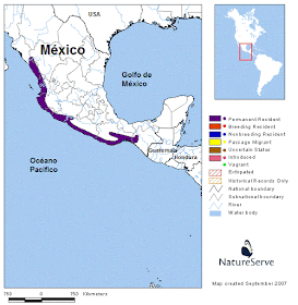 Citreoline Trogon