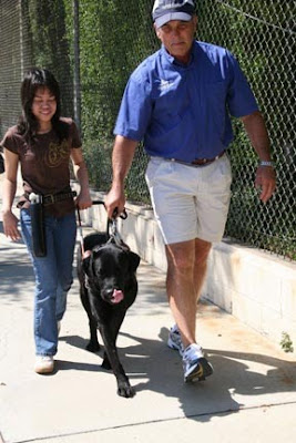 A young girl walking with a Guide Dog under the supervision of a Guide Dog mobility instructor