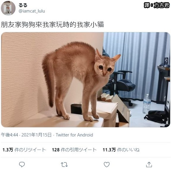 圖片