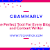 Grammarly: The Perfect Tool For Every Blogger and Content Writer