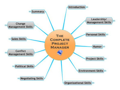 project manager