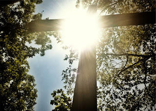 cross with sun