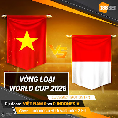 Việt Nam vs Indonesia