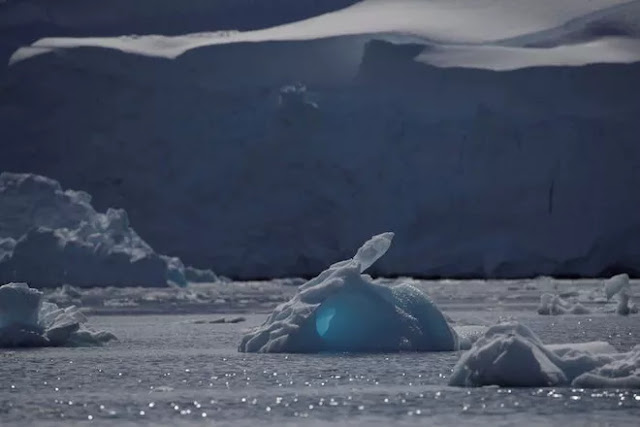 Nhiệt độ Châu Nam Cực ở mức cao kỷ lục, băng tan ở khắp nơi