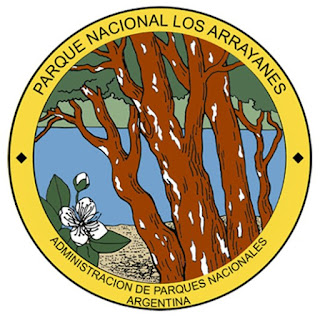 EL BOSQUE LOS ARRAYANES 