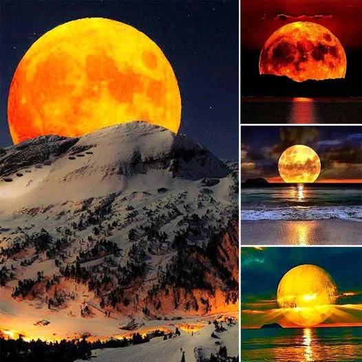 #PhotoLover :  🅸🅼🅰🅶🅴 🅻🅾🆅🅴🆁 ♣ Image😍 Lover❤💛💙  459